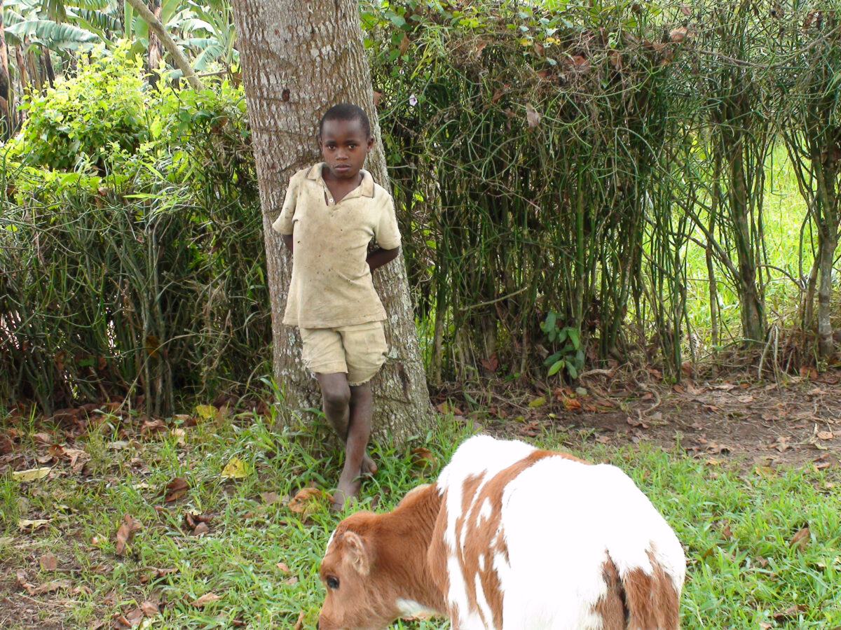 Utah extension agent assists developing South Sudan | News, Sports, Jobs -  Standard-Examiner